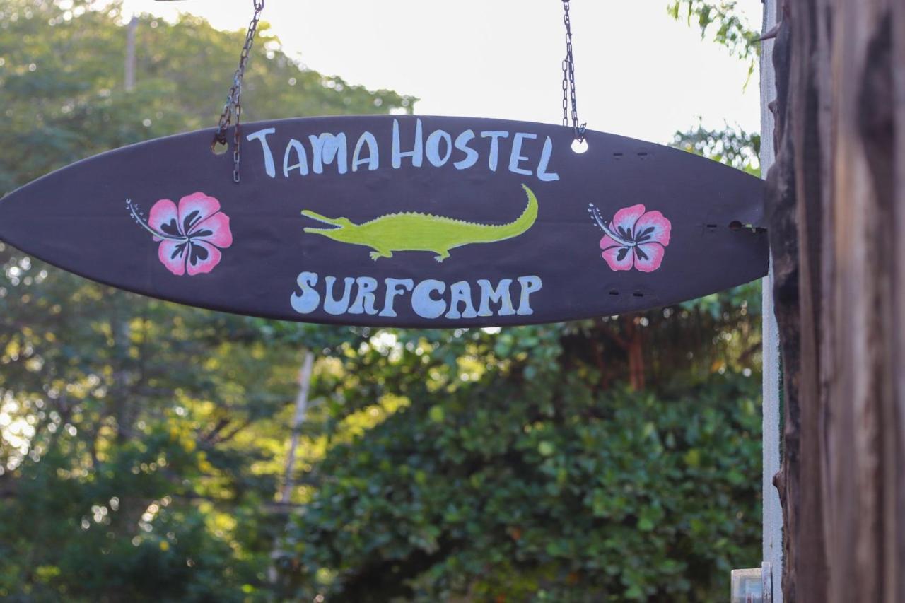 Tamahostel & Glamping Tamarindo Exterior photo
